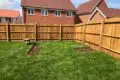Garden Fencing