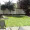 Lawn Turfing