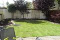 Lawn Turfing