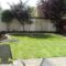 Lawn Turfing